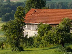 Bauernhof Isental